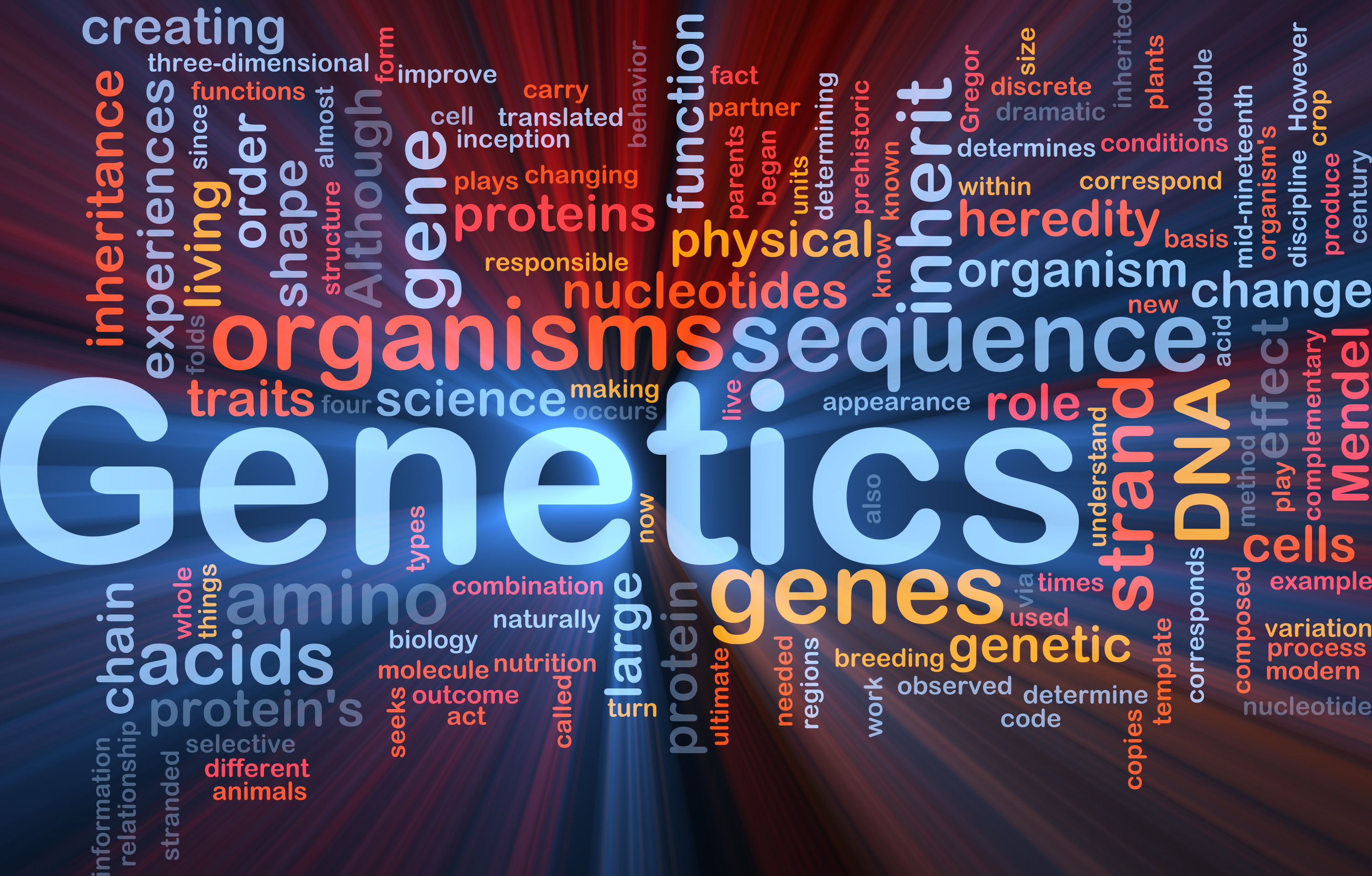  BIOLOGY FORM FOUR STUDY NOTES TOPIC 2: GENETICS 