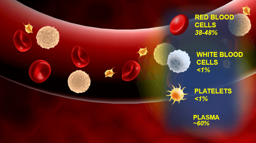 Blood components include cellular elements such as red blood cells, white blood cells, and platelets; and an extracellular matrix (plasma).