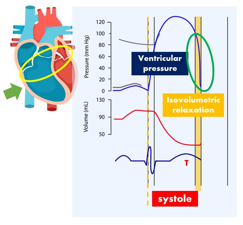 In Isovolumetric Relaxation, ventricular pressure decreases as the ventricles start to relax and the valves close again.